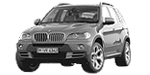 BMW E70 P200C Fault Code