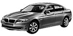 BMW F10 P200C Fault Code